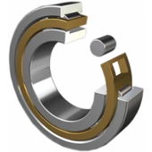 NJ304 E Hengergörgős csapágy